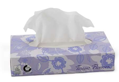 Image de Mouchoirs blancs 2p
