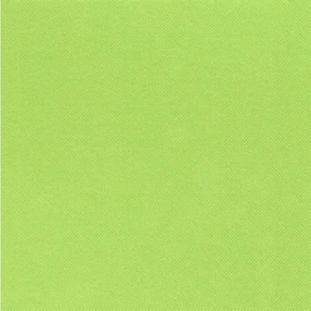 Image de Serviettes Celi-Ouate Pistache 20x20