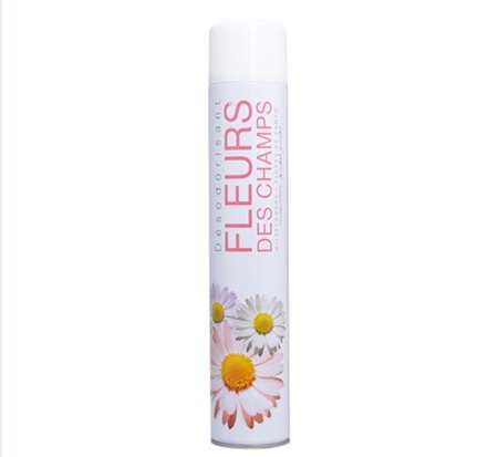 Image de Aérosol désodorisant Fleurs des champs 750ml