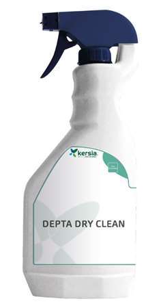 Image de Détergent désinfectant sans rincage DEPTA DRY CLEAN 750ml
