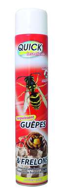 Image de Aérosol Insecticide anti frelons-guêpes surpuissant 750ml