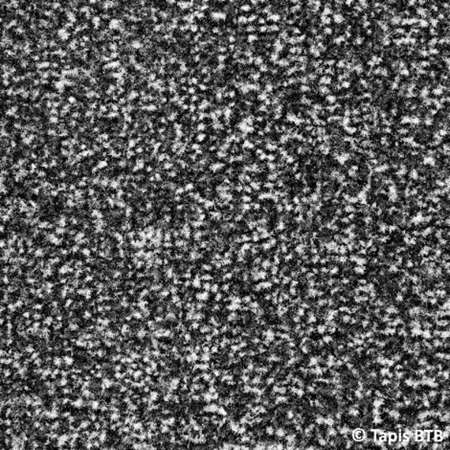 Image de Tapis Welcome Anthracite non bordé - Sur Mesure