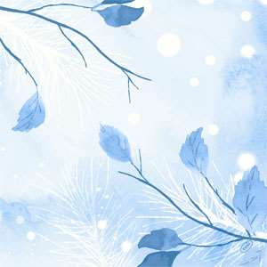 Image de Serviette Dunisoft 40x40cm Frosted Winter